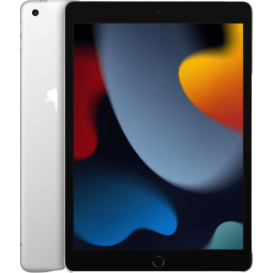 iPad 10.2 2021 Wi-Fi 64GB Space Gray